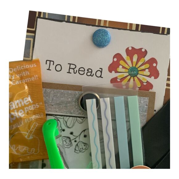 Blind Date With A Book Adult Mystery Thriller Suspense Birthday Gift Holidays - Picture 5 of 7